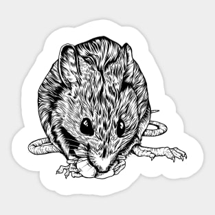 Drawing of a rat Sticker